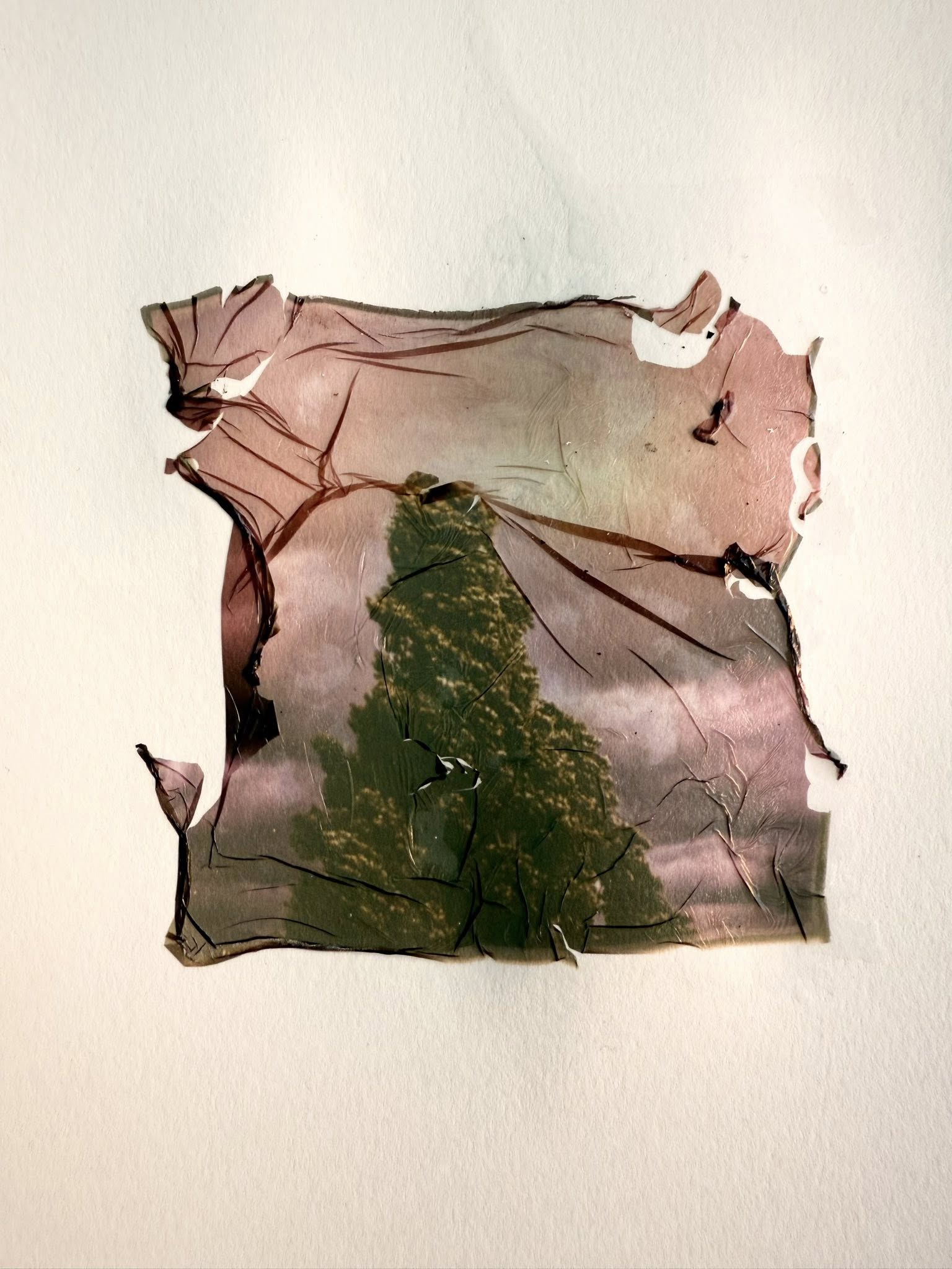 Polaroid transfer (praktická dílna)
